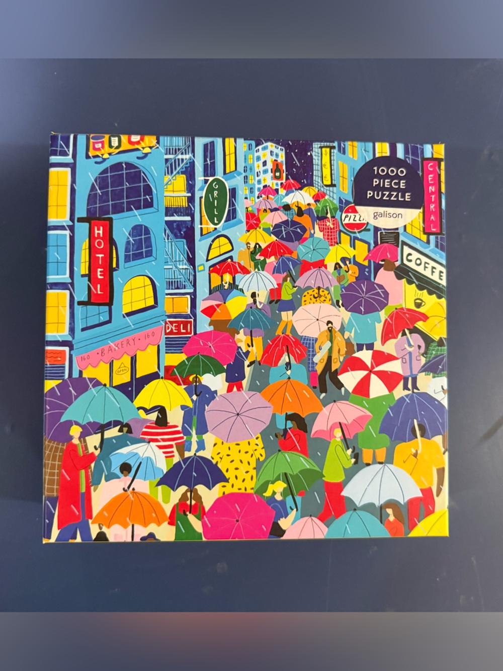 Galison 1000 piece puzzle